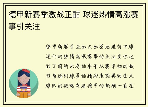德甲新赛季激战正酣 球迷热情高涨赛事引关注